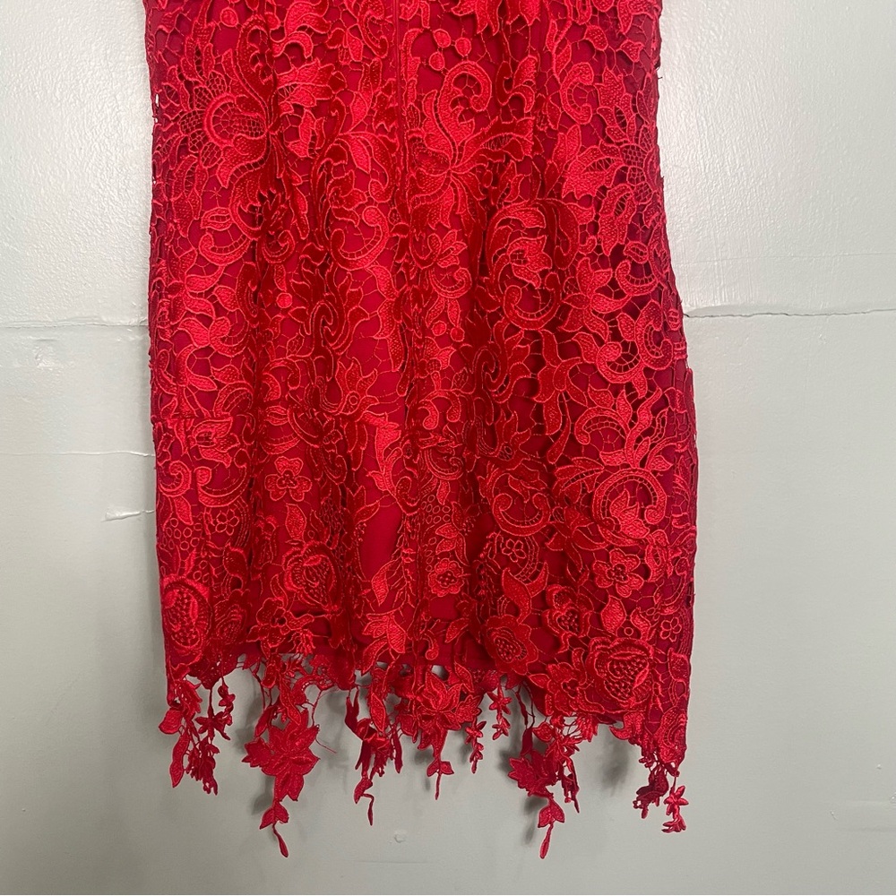 Revolve NBD Yosemite Mini Dress in Red Cherry Laced Floral Lined Size Small - Picture 8 of 10